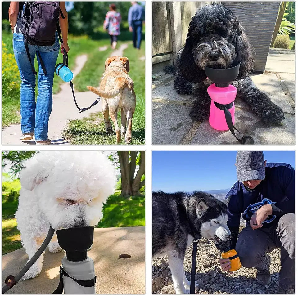 TERMO PARA PERROS