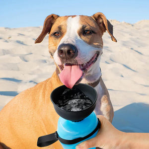 TERMO PARA PERROS